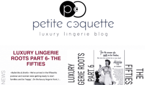 10 Amazing Lingerie Blogs to Follow